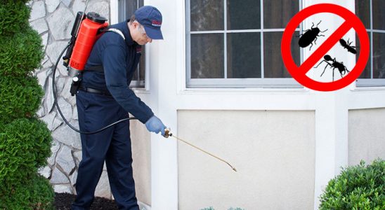 Selçuklu Karınca İlaçlama böcek ilaçlama ve haşere kontrolü — ilaclama-tr.com